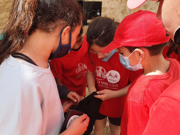 los equipos escolares trabajan en equipo para superar la misión