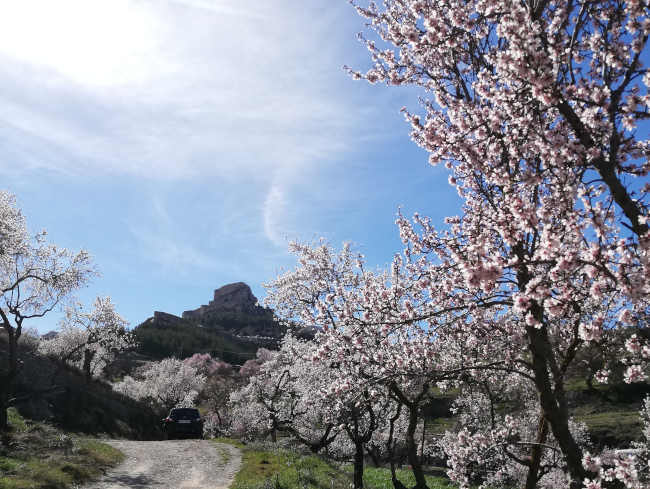 alrededores de morella y sitios que ver